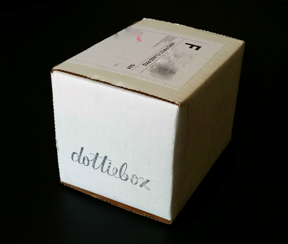 Dottie Box Mini Subscription Box Review – February 2015