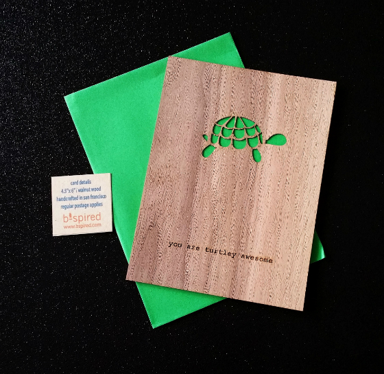 Estilo Subscription Box Review – January 2015 Turtle