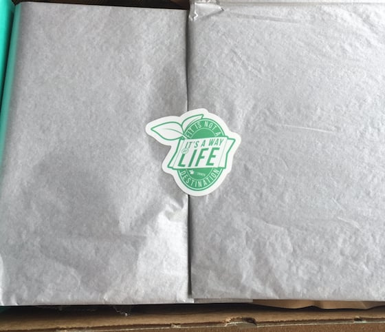 FitSnack Subscription Box Review - January 2015 Packaging