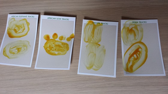 Green Kid Crafts Subscription Box Review – February 2015 Tracks