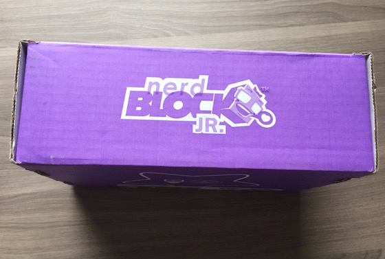 Nerd Block Jr. Girls Subscription Box Review – January 2015 Box
