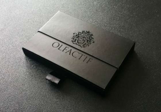 Olfactif Perfume Subscription Box Review – February 2015 Box