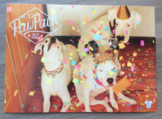 Paw Pack Subscription Box Review – January 2015 Card