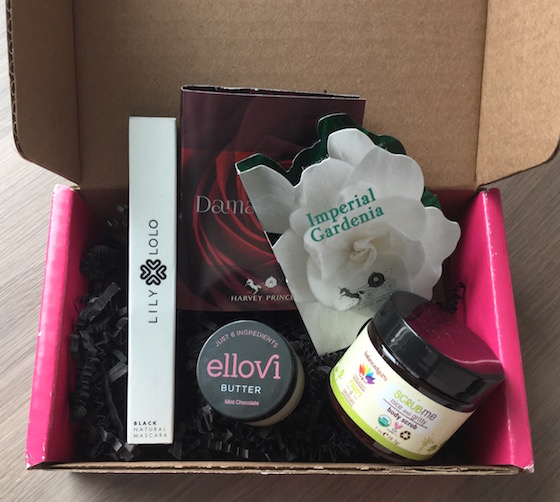 Petit Vour Vegan Beauty Subscription Box Review – Feb 2015 Items