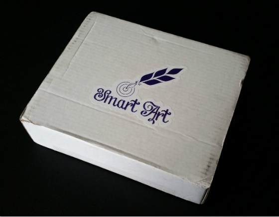 SmartArt Subscription Box Review - February 2015 Box