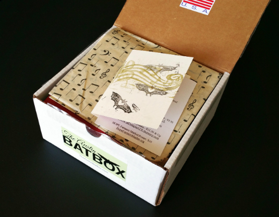 The Austin BatBox Subscription Box Review – February 2015 Open