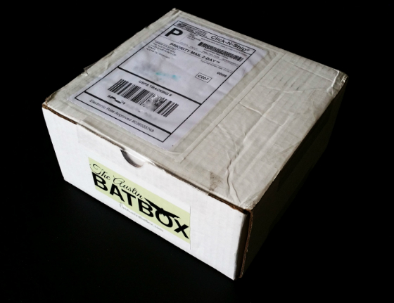 The Austin BatBox Subscription Box Review - January 2015 Box