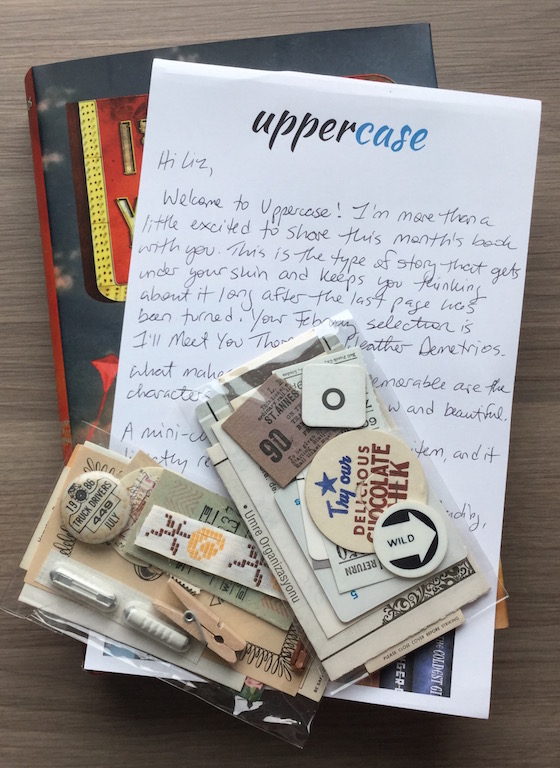 Uppercase YA Book Subscription Box Review - February 2015 Items