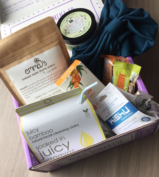 Yogi Surprise Subscription Box Review – February 2015 Items