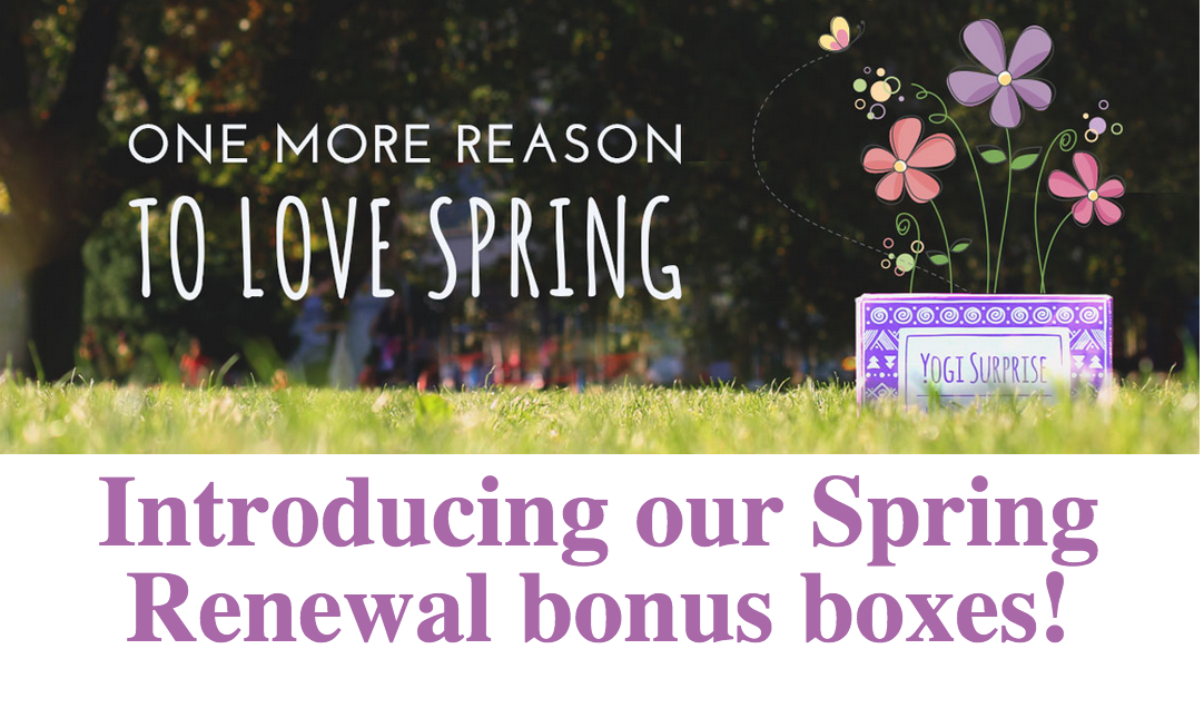 Yogi Surprise Limited Edition Spring 2015 Box!
