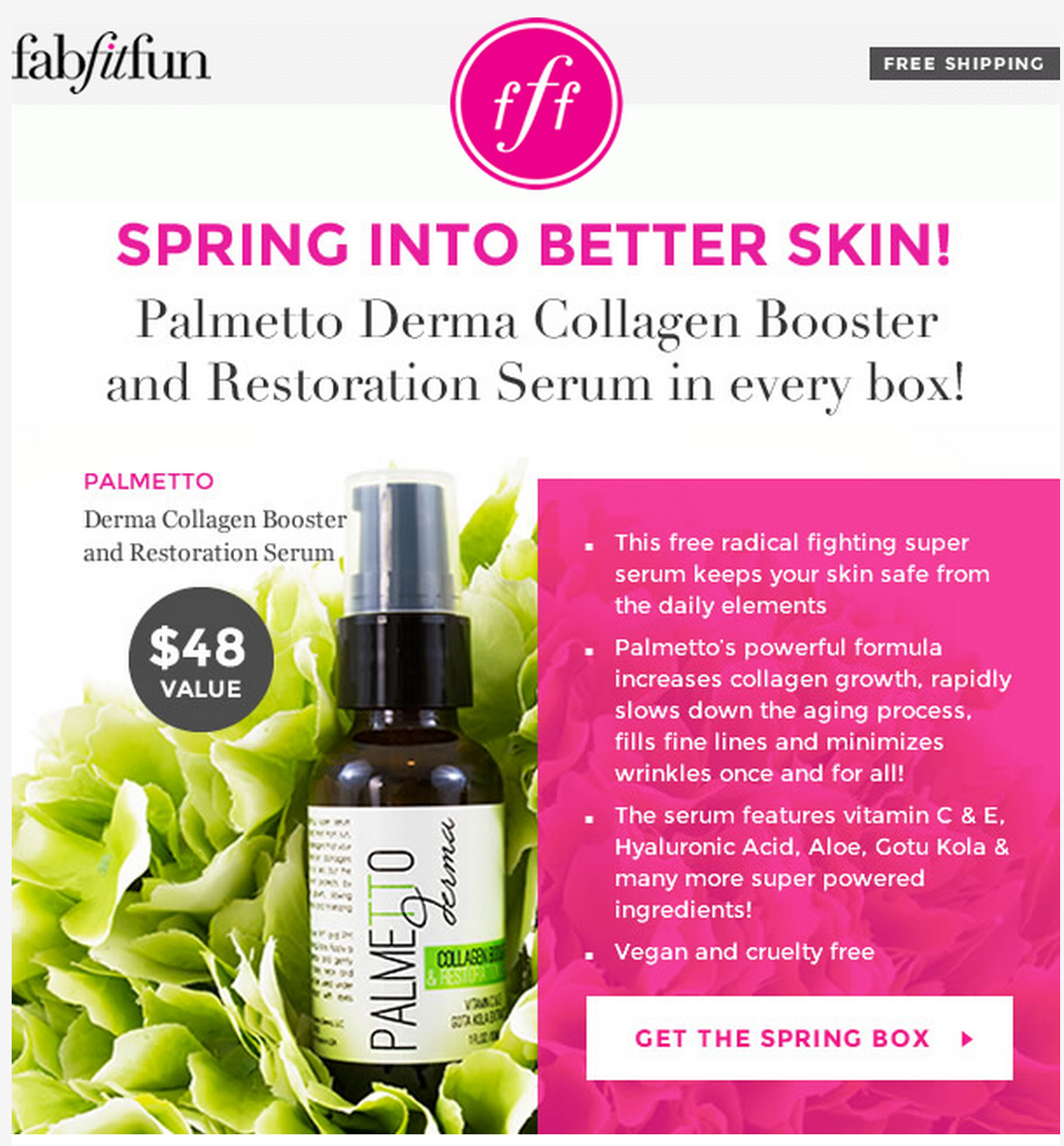 FabFitFun VIP Spoiler #3