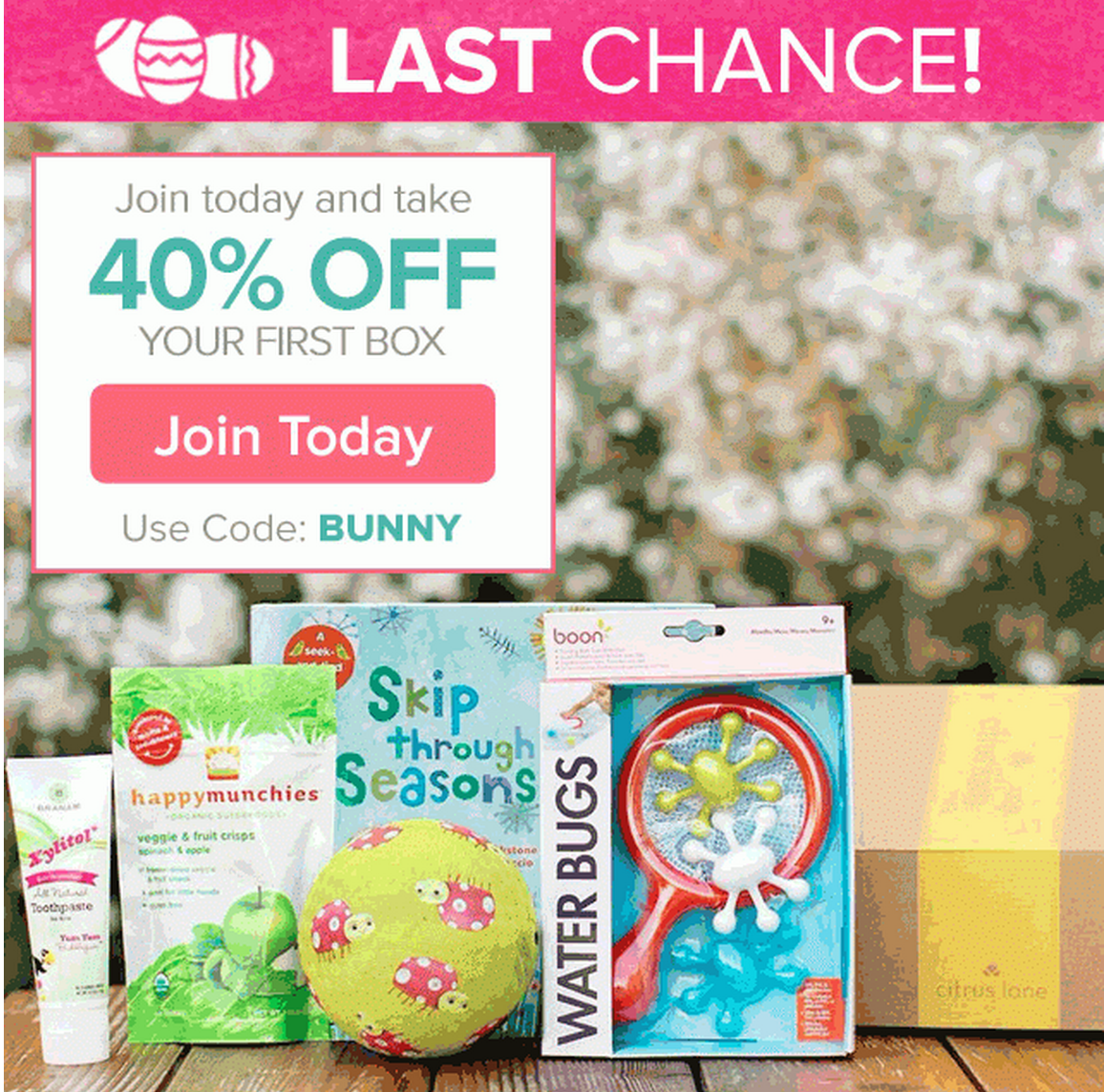 Last Day – 40% Off Citrus Lane + Free Bunny Basket