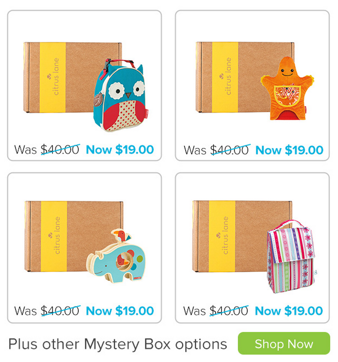 Citrus Lane Mystery Box Time! Options