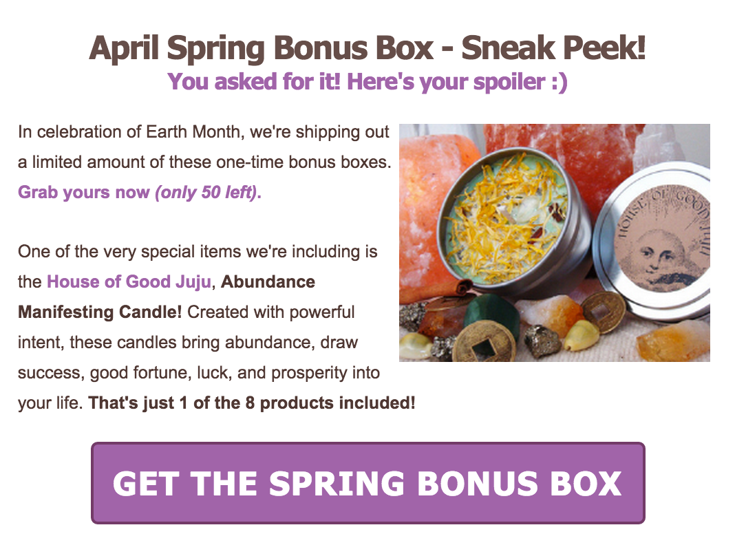 Yogi Surprise Spring Bonus Box Spoiler Item