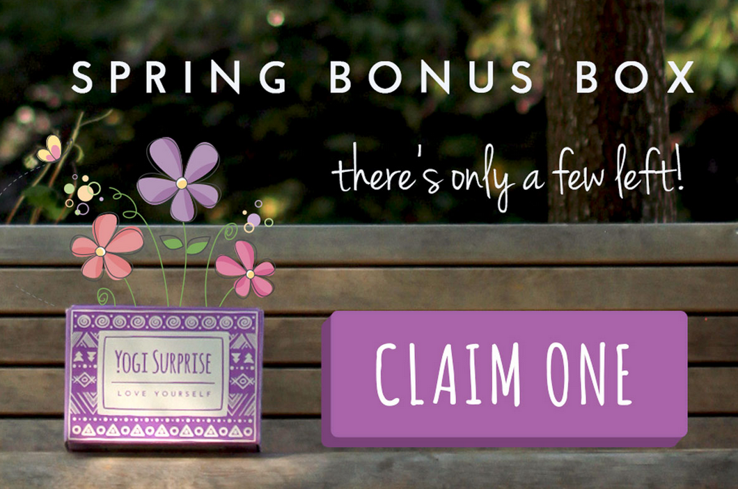 Yogi Surprise Spring Bonus Box Spoiler!