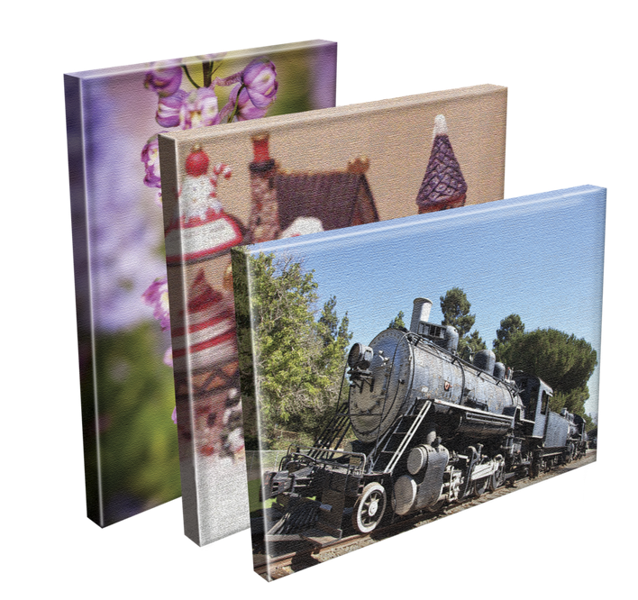 Gallery Wrapped Canvas Print