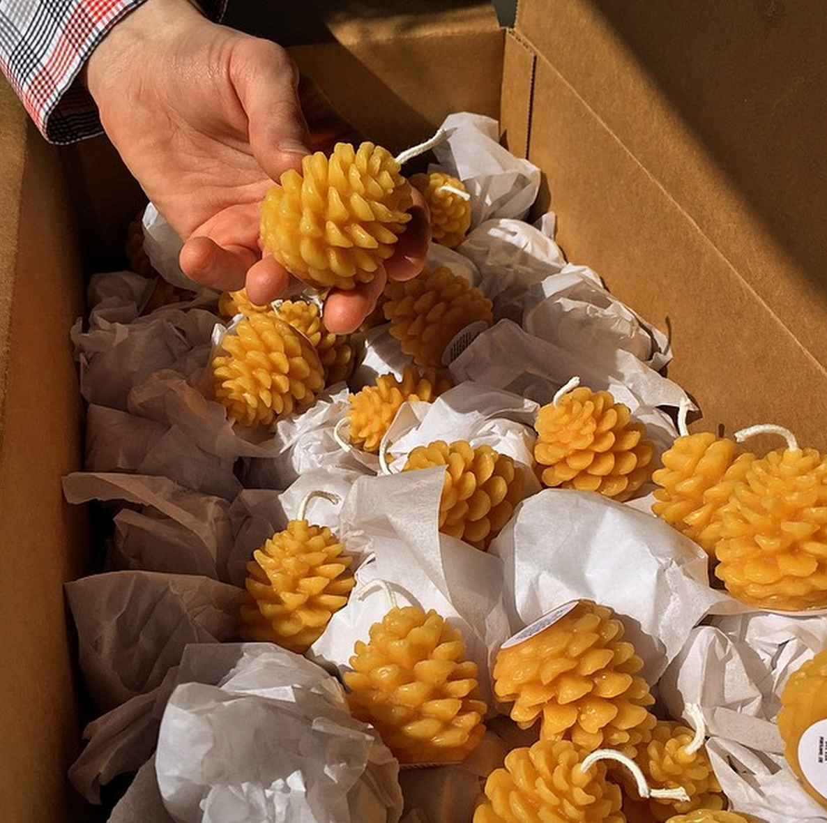 Beeswax candle