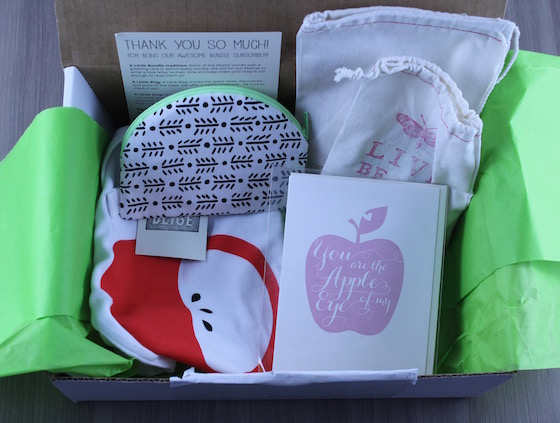A Little Bundle Subscription Box Review – February 2015 Items