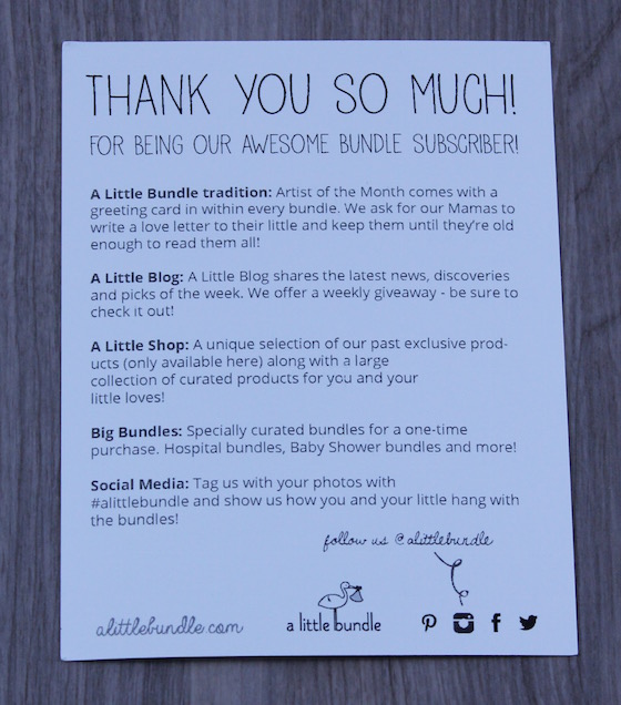 A Little Bundle Subscription Box Review – February 2015 Thanks