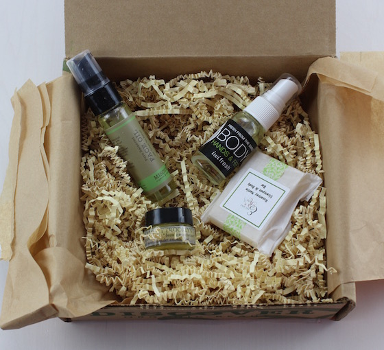 Bare Bliss Box Subscription Review – March 2015 Items