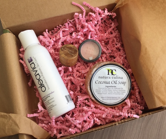 Bare Bliss Box Subscription Review – February 2015 Items