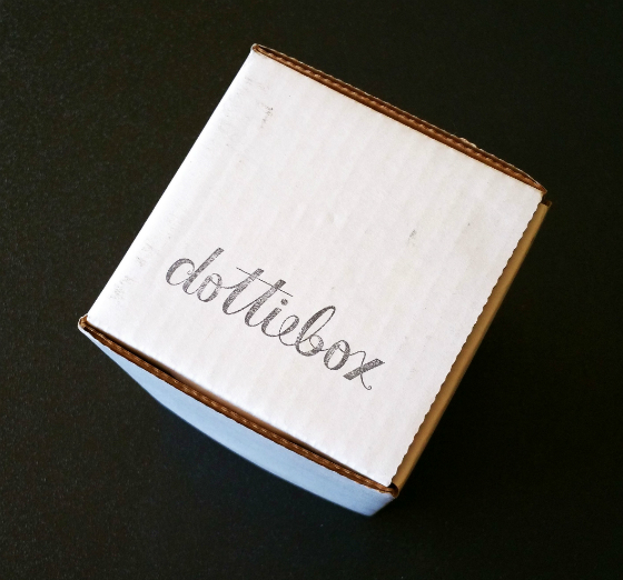 Dottie Box Mini Subscription Box Review – March 2015