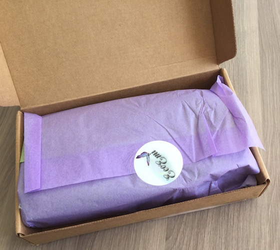 Eco Emi Deluxe Beauty Box Subscription Review – March 2015 Box