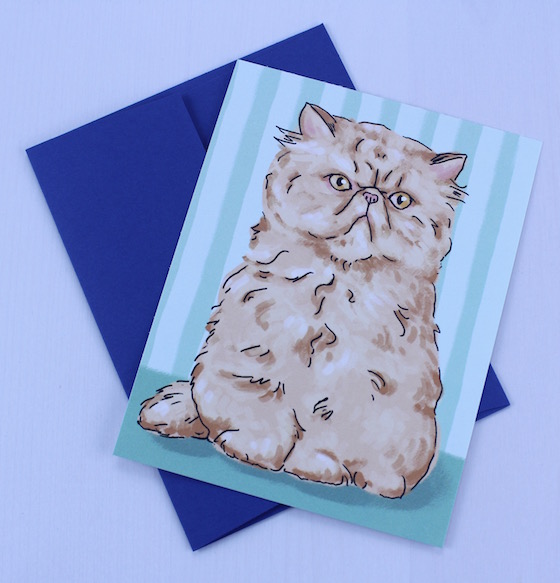 A Beautiful Mess Happy Mail Subscription Review – March 2015 Cat