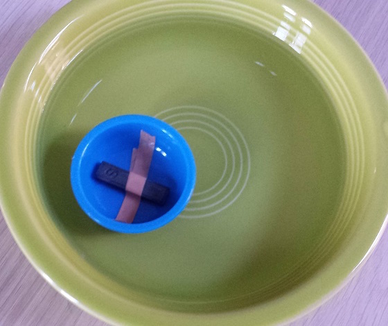 Magic School Bus Science Club Subscription Review – Feb 2015 Compass