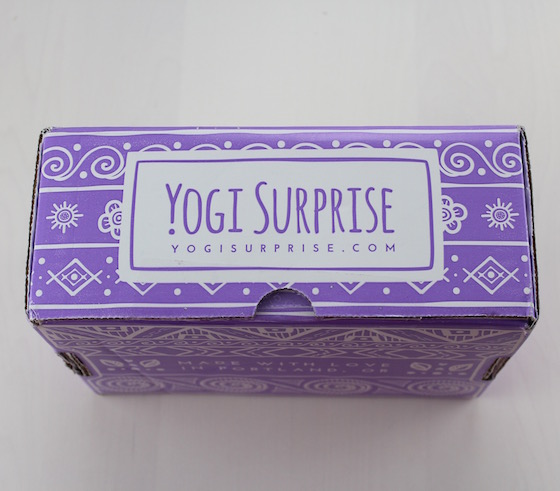 Yogi Surprise Subscription Box Review – March 2015 Box