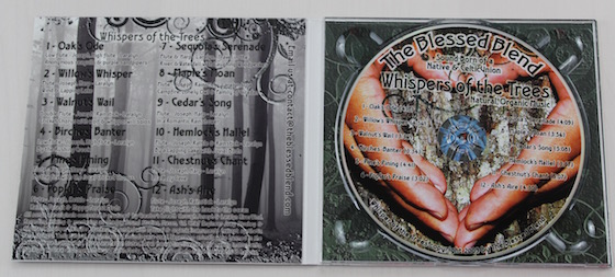 Yogi Surprise Subscription Box Review – March 2015 CD