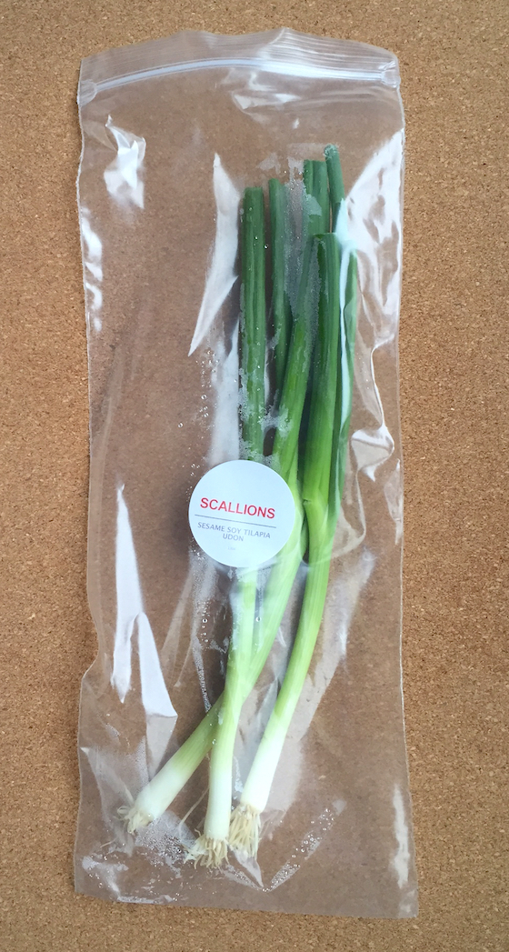 Plated Subscription Review + Free Box Coupon - April 14, 2015 - Packed 1