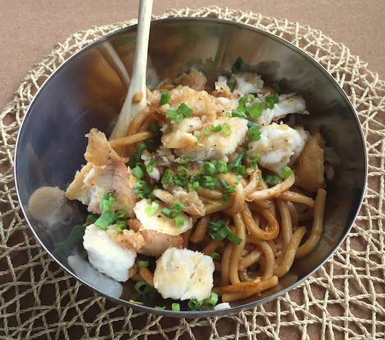 Plated Subscription Review + Free Box Coupon - April 14, 2015 - Plated Udon