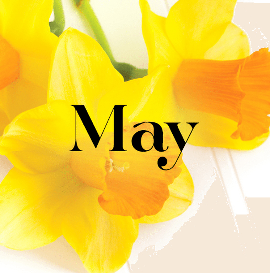 POPSUGAR Must Have May Box Theme Spoilers + Coupon!
