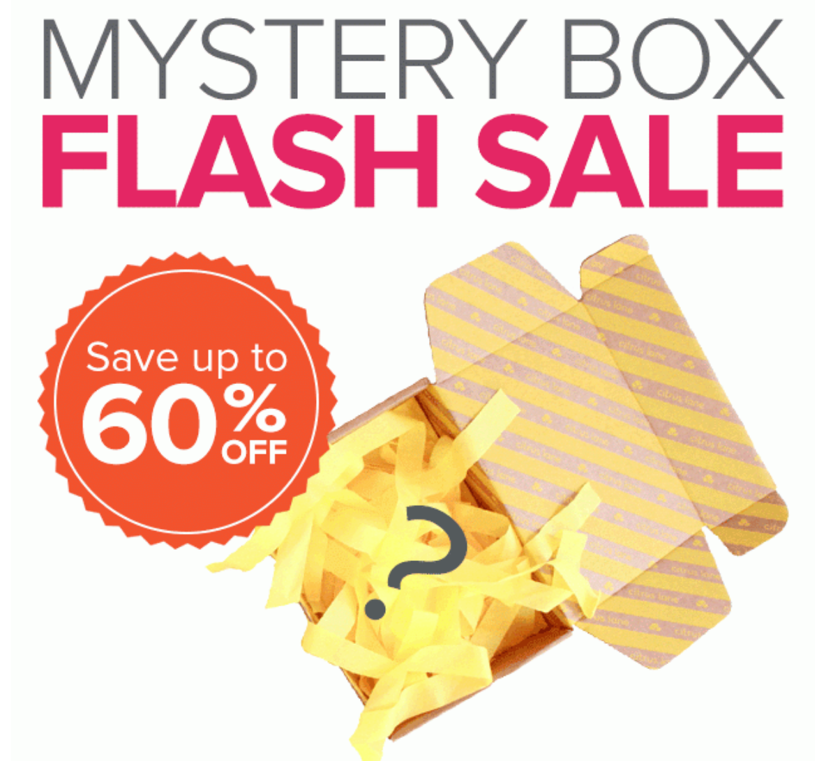 Citrus Lane Mystery Box Time!