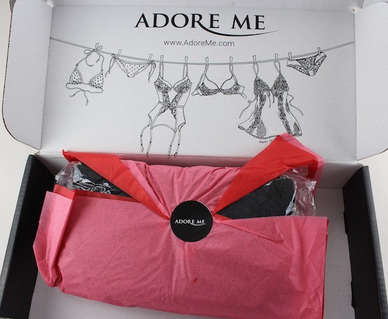 Adore Me Subscription Box Review – April 2015 First Look