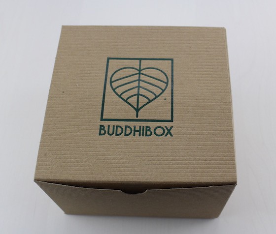 BuddhiBox Subscription Box Review – April 2015 Box