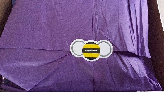 Gwynnie Bee Review + Free Month Coupon - April 2015 Inside