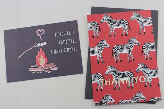 A Beautiful Mess Happy Mail Subscription Review – April 2015 Zebra