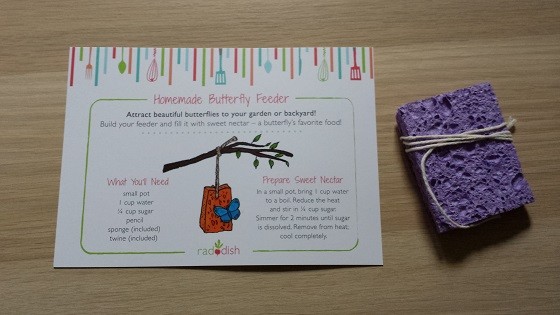 Raddish Kids Subscription Box Review – April 2015 Butterfly Feeder
