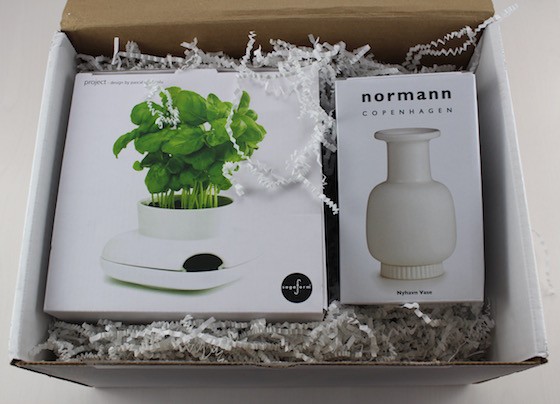 Skandicrush Subscription Box Review – March 2015 Items