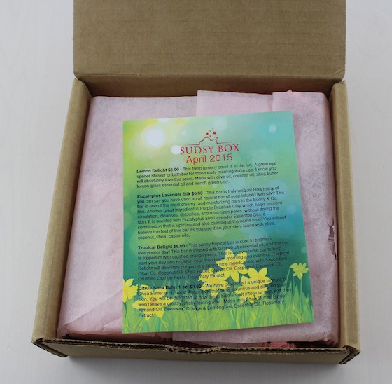Sudsy Box Subscription Box Review – April 2015 First Look