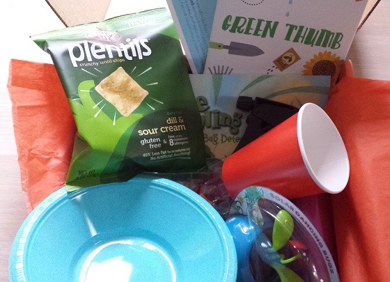 Surprise Ride Subscription Box Review + Coupon - April 2015 Inside
