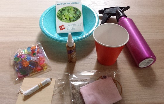 Surprise Ride Subscription Box Review + Coupon - April 2015 Supplies
