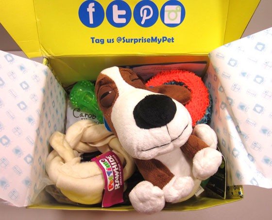 Surprise My Pet Subscription Box Review - April 2015 Inside