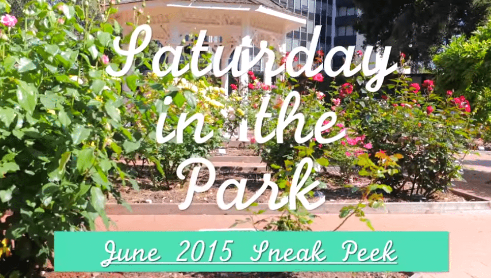 Saturday in the Park