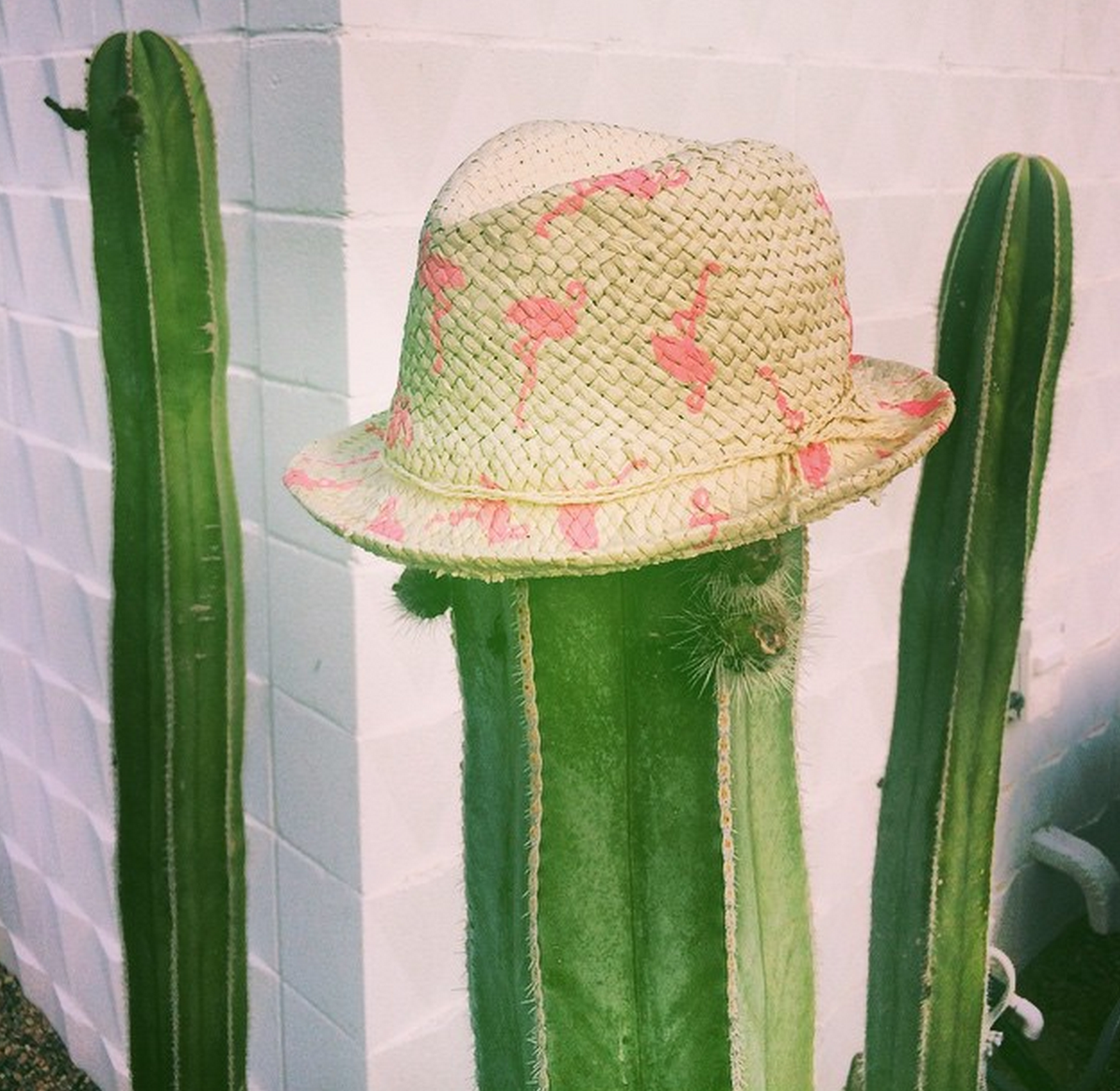 Golden Tote June 2015 First Look! Fedora