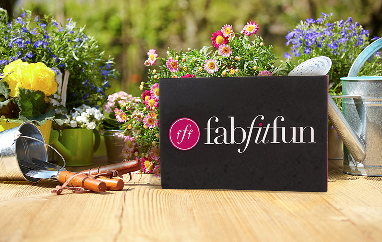 FabFitFun Summer 2015 Box Pre-Sale – $10 Coupon Code