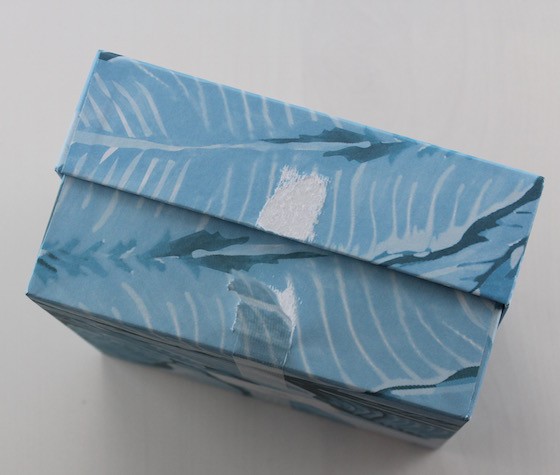 Birchbox Limited Edition Under The Sun Box Review + Coupon Tape