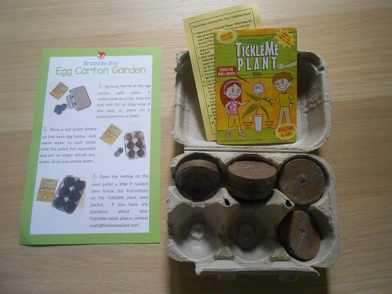 Bramble Box Props Subscription Box Review – May 2015 Egg Carton Garden